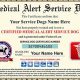 Get Service Dog Certificate | My Caring Dog – Tips, Stories, and Care Guides for Loving Pet Owners