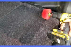 Remove Dog Hair From Car Carpet | My Caring Dog – Tips, Stories, and Care Guides for Loving Pet Owners