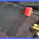 Remove Dog Hair From Car Carpet | My Caring Dog – Tips, Stories, and Care Guides for Loving Pet Owners