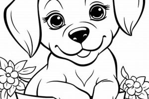 Best Page Dog Design Ideas for Car Lovers | My Caring Dog – Tips, Stories, and Care Guides for Loving Pet Owners