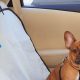Best Animal Planet Dog Car Seats: Safe & Stylish | My Caring Dog – Tips, Stories, and Care Guides for Loving Pet Owners