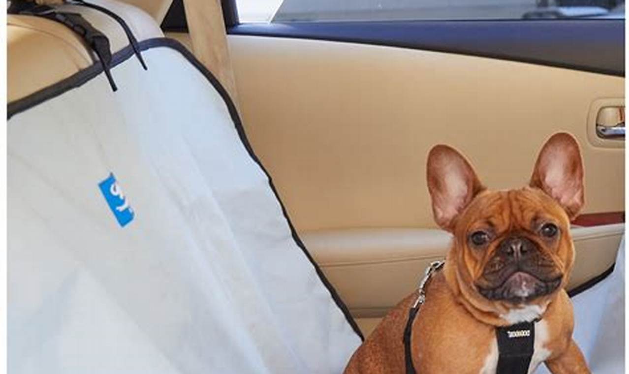 Best Animal Planet Dog Car Seats: Safe & Stylish | My Caring Dog – Tips, Stories, and Care Guides for Loving Pet Owners