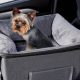 Best Car Seat Dog Carrier Near You: Find Top Brands | My Caring Dog – Tips, Stories, and Care Guides for Loving Pet Owners