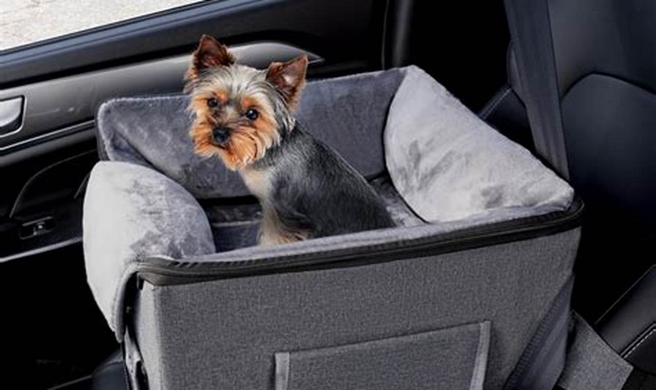 Best Car Seat Dog Carrier Near You: Find Top Brands | My Caring Dog – Tips, Stories, and Care Guides for Loving Pet Owners