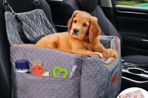 Dog Car Bed | My Caring Dog – Tips, Stories, and Care Guides for Loving Pet Owners
