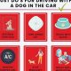 Dog Car Safety Laws: State by State Guide | My Caring Dog – Tips, Stories, and Care Guides for Loving Pet Owners