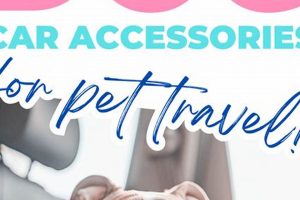 Car Accessories For Dog Travel | My Caring Dog – Tips, Stories, and Care Guides for Loving Pet Owners