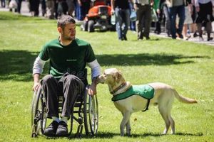 Dog Training For Disabled | My Caring Dog – Tips, Stories, and Care Guides for Loving Pet Owners