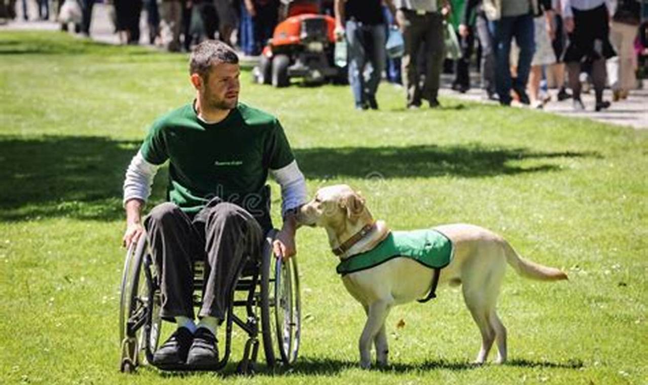 Dog Training For Disabled | My Caring Dog – Tips, Stories, and Care Guides for Loving Pet Owners