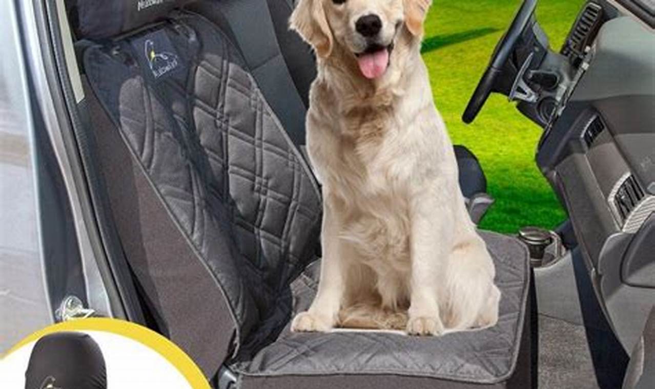 Best Front Seat Dog Car Seats: Safety & Comfort | My Caring Dog – Tips, Stories, and Care Guides for Loving Pet Owners