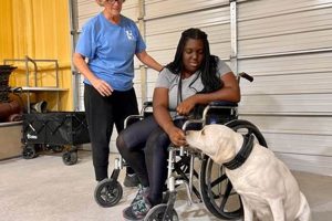 Become a Service Dog Trainer: Certified Course | My Caring Dog – Tips, Stories, and Care Guides for Loving Pet Owners