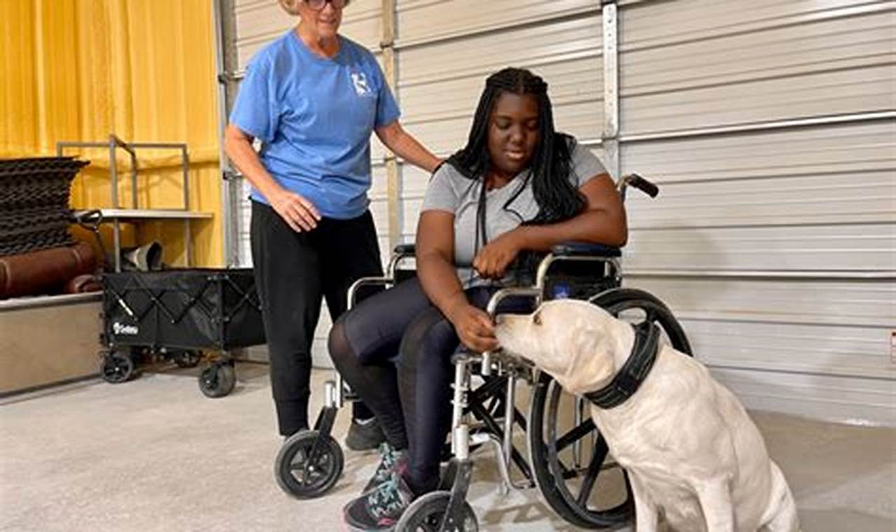 Become a Service Dog Trainer: Certified Course | My Caring Dog – Tips, Stories, and Care Guides for Loving Pet Owners