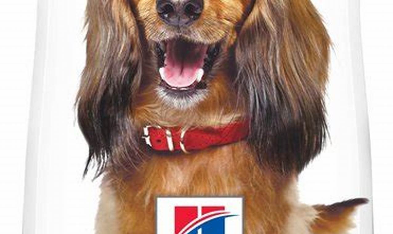 Hills Oral Care Dog Food | My Caring Dog – Tips, Stories, and Care Guides for Loving Pet Owners