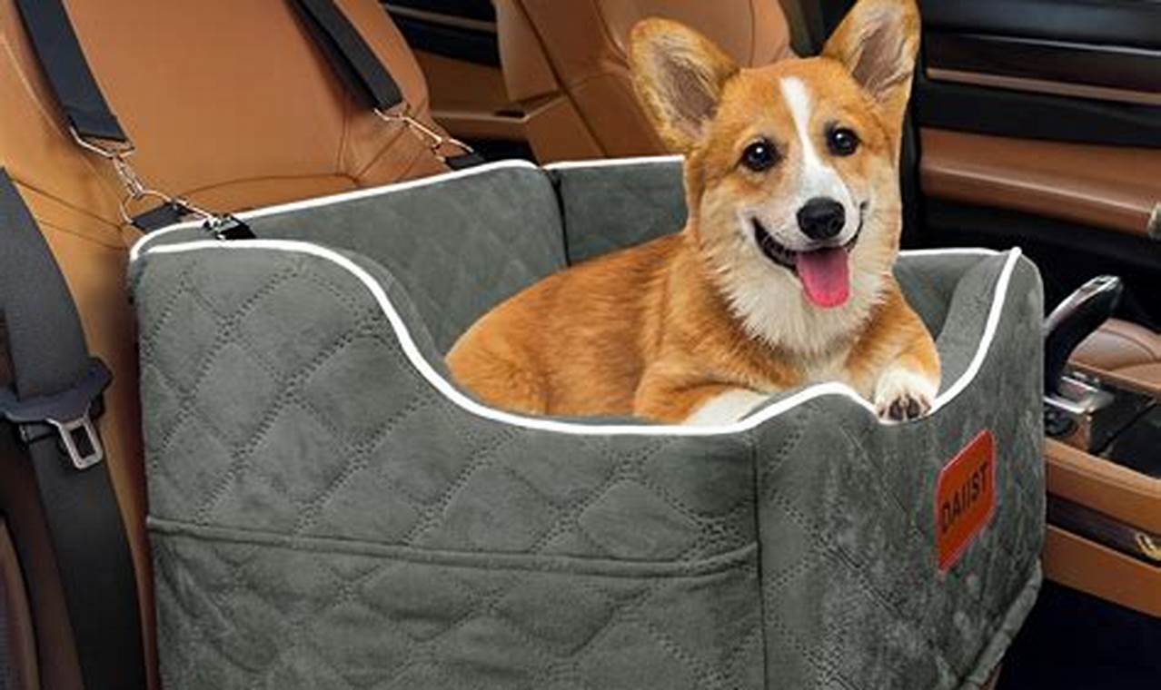 Best Pet Car Seats for Medium-Sized Dogs | My Caring Dog – Tips, Stories, and Care Guides for Loving Pet Owners