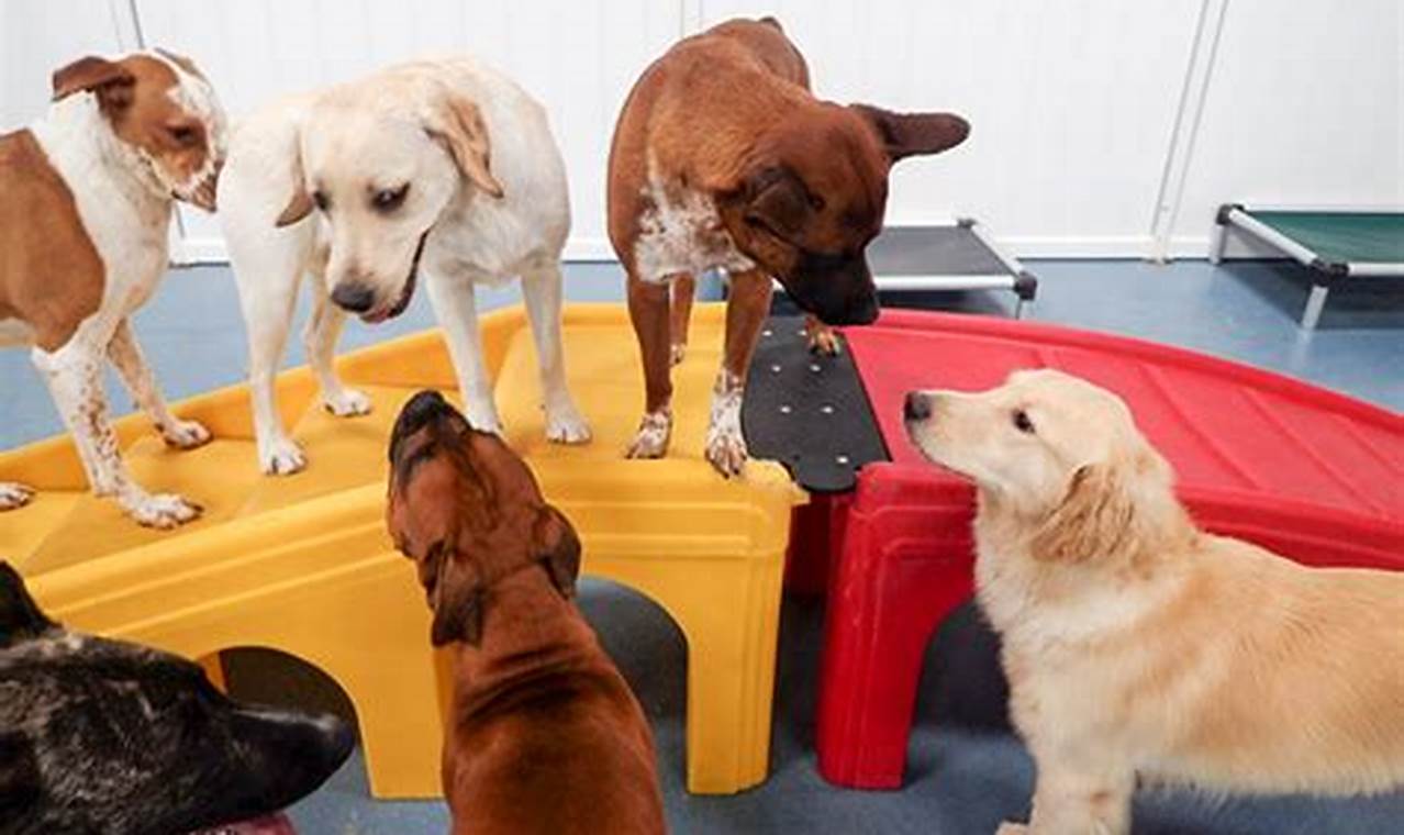 Essential Dog Care Tips for 3 Days Away | My Caring Dog – Tips, Stories, and Care Guides for Loving Pet Owners