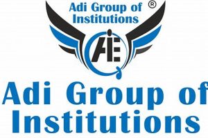 Top Adi Com Car Dog Accessories & Products | My Caring Dog – Tips, Stories, and Care Guides for Loving Pet Owners