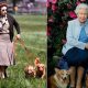 Royal Dog Care: Who Tends to the Queen's Corgis? | My Caring Dog – Tips, Stories, and Care Guides for Loving Pet Owners