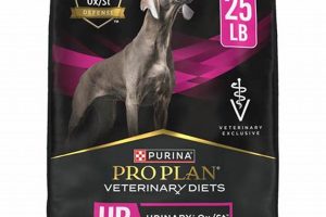 Best Purina Urinary Care Dog Food Guide | My Caring Dog – Tips, Stories, and Care Guides for Loving Pet Owners