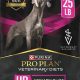 Best Purina Urinary Care Dog Food Guide | My Caring Dog – Tips, Stories, and Care Guides for Loving Pet Owners