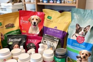 Is Your Pet Happy? Ensure Pet Wellness & Joy | My Caring Dog – Tips, Stories, and Care Guides for Loving Pet Owners