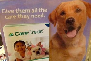 Best Care Credit for Dogs: Financing Pet Care My Caring Dog – Tips, Stories, and Care Guides for Loving Pet Owners Best Care Credit for Dogs: Financing Pet Care | My Caring Dog – Tips, Stories, and Care Guides for Loving Pet Owners