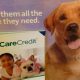 Best Care Credit for Dogs: Financing Pet Care | My Caring Dog – Tips, Stories, and Care Guides for Loving Pet Owners