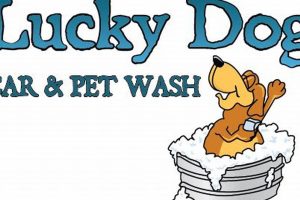 Lucky Dog Car Wash | My Caring Dog – Tips, Stories, and Care Guides for Loving Pet Owners