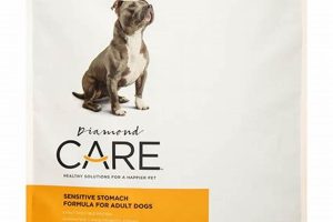 Best Diamond Care Dog Food Review & Guide | My Caring Dog – Tips, Stories, and Care Guides for Loving Pet Owners