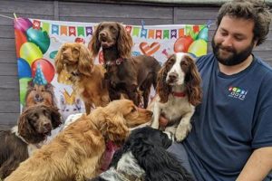 Top-Rated Happi Days Dog Day Care in Woodbridge, VA My Caring Dog – Tips, Stories, and Care Guides for Loving Pet Owners Top-Rated Happi Days Dog Day Care in Woodbridge, VA | My Caring Dog – Tips, Stories, and Care Guides for Loving Pet Owners