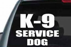 Best Service Dog Car Stickers: Guide & FAQs | My Caring Dog – Tips, Stories, and Care Guides for Loving Pet Owners