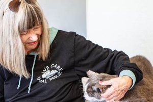 I Care Animal Rescue | My Caring Dog – Tips, Stories, and Care Guides for Loving Pet Owners