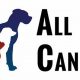 Pro All Canines Dog Training Tips & Tricks | My Caring Dog – Tips, Stories, and Care Guides for Loving Pet Owners