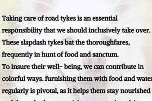 A Guide to Caring for Street Dogs: Practical Tips | My Caring Dog – Tips, Stories, and Care Guides for Loving Pet Owners