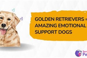 Cancer Service Dogs: Support & Comfort | My Caring Dog – Tips, Stories, and Care Guides for Loving Pet Owners