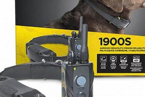 Best Dog Care Training Collar Warranty Guide | My Caring Dog – Tips, Stories, and Care Guides for Loving Pet Owners