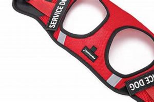 How to Buy a Qualified Service Dog My Caring Dog – Tips, Stories, and Care Guides for Loving Pet Owners How to Buy a Qualified Service Dog | My Caring Dog – Tips, Stories, and Care Guides for Loving Pet Owners