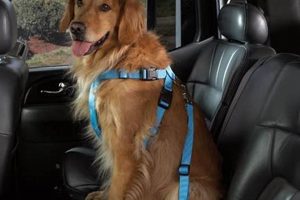 Top Cruising Companion Dog Car Harnesses for Safety | My Caring Dog – Tips, Stories, and Care Guides for Loving Pet Owners