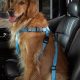 Top Cruising Companion Dog Car Harnesses for Safety | My Caring Dog – Tips, Stories, and Care Guides for Loving Pet Owners