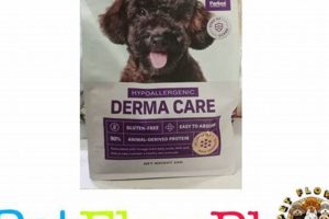 Best Derma Care Dog Food for Itchy Skin | My Caring Dog – Tips, Stories, and Care Guides for Loving Pet Owners