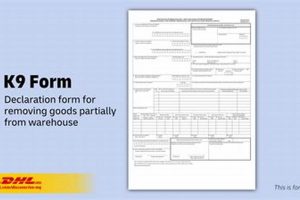 Complete K 9 Form Guide For Car Dogs | My Caring Dog – Tips, Stories, and Care Guides for Loving Pet Owners