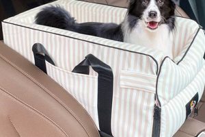 Best Dog Car Seat Center Consoles for Safe Travels My Caring Dog – Tips, Stories, and Care Guides for Loving Pet Owners Best Dog Car Seat Center Consoles for Safe Travels | My Caring Dog – Tips, Stories, and Care Guides for Loving Pet Owners