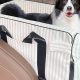 Best Dog Car Seat Center Consoles for Safe Travels | My Caring Dog – Tips, Stories, and Care Guides for Loving Pet Owners