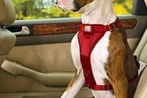 CA Dog Car Laws: Safety & Transport Rules | My Caring Dog – Tips, Stories, and Care Guides for Loving Pet Owners