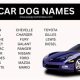 Top Car Dog Names: Cool & Unique Ideas | My Caring Dog – Tips, Stories, and Care Guides for Loving Pet Owners