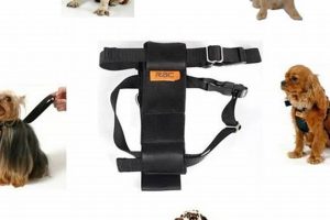 Top RAC Dog Car Harnesses for Safe Travels | My Caring Dog – Tips, Stories, and Care Guides for Loving Pet Owners