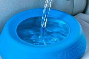 Best Dog Bowls for Car Travel: No-Spill Options | My Caring Dog – Tips, Stories, and Care Guides for Loving Pet Owners