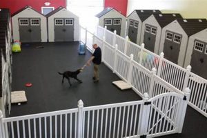 Top Dog Day Care in Sterling Heights, MI My Caring Dog – Tips, Stories, and Care Guides for Loving Pet Owners Top Dog Day Care in Sterling Heights, MI | My Caring Dog – Tips, Stories, and Care Guides for Loving Pet Owners