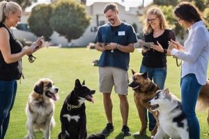 Dog Training Jobs Los Angeles | My Caring Dog – Tips, Stories, and Care Guides for Loving Pet Owners