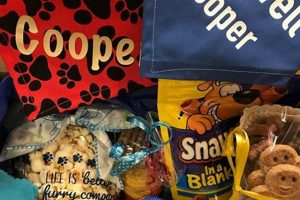 Best Dog Care Packages: Essentials & Gifts | My Caring Dog – Tips, Stories, and Care Guides for Loving Pet Owners