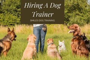 Dog Trainer Hiring | My Caring Dog – Tips, Stories, and Care Guides for Loving Pet Owners